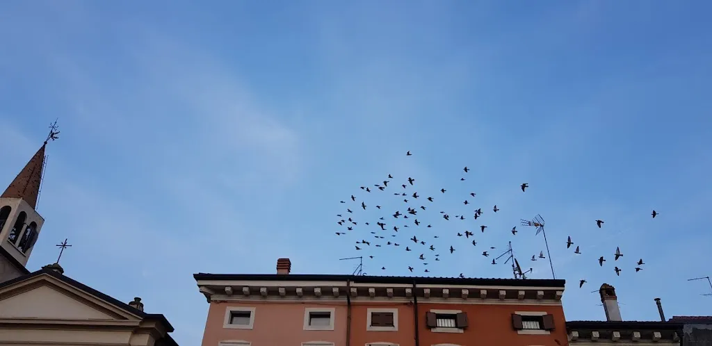 Ristorante Bar Divine Follie Di Fattori Nicola_Cazzano di Tramigna_slider_image_3