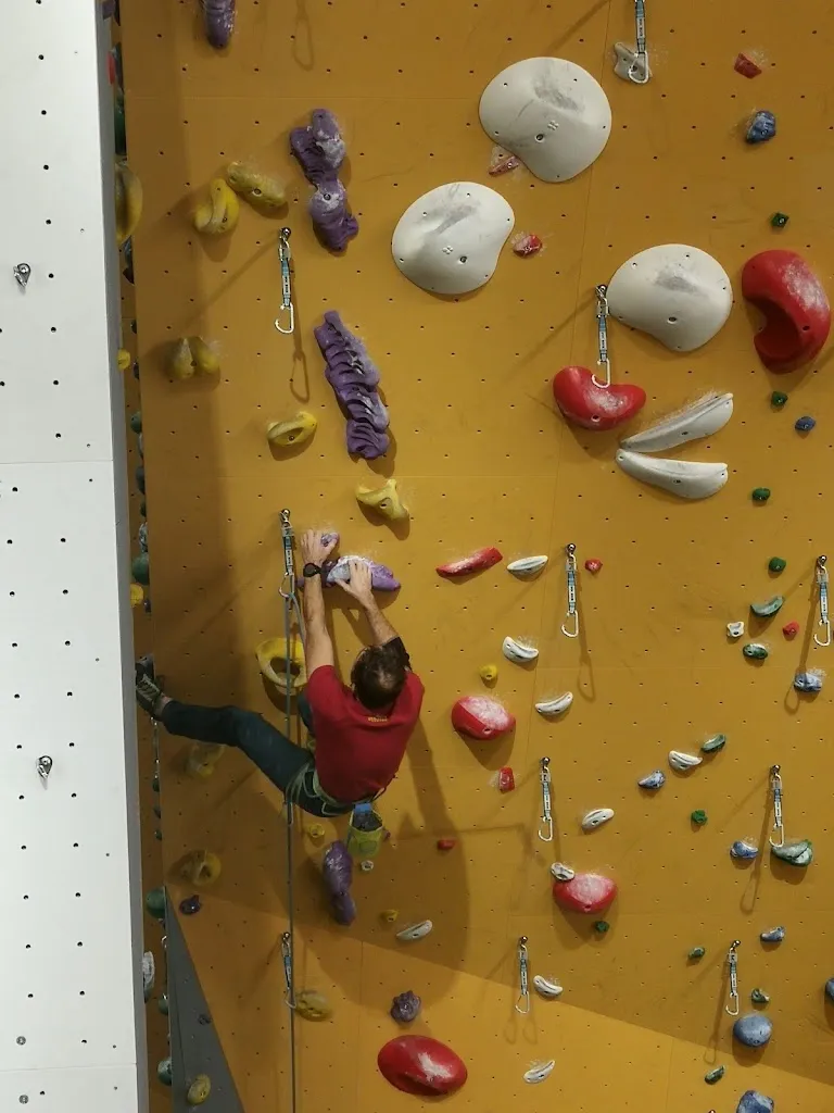 Valter Decima_da Massimo Osteria Contemporanea_Celat-San Tomaso Agordino_review