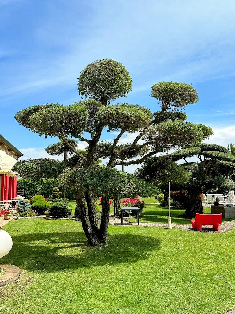 Reinhard Steurer_Ristorante Villa Momi’s_Cavarzere_review