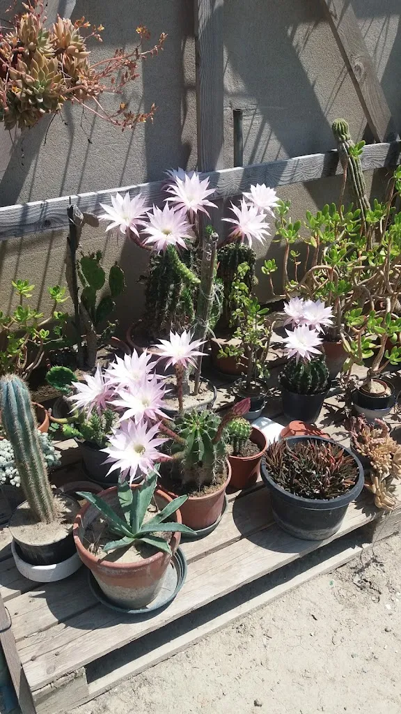 Caprì_Ceneselli_slider_image_2