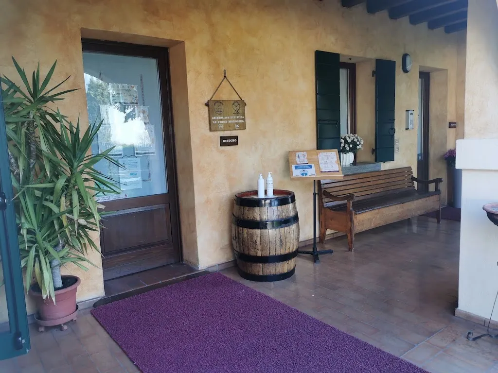 Nenad Srdić_Le Vigne Morosina_Cessalto_review