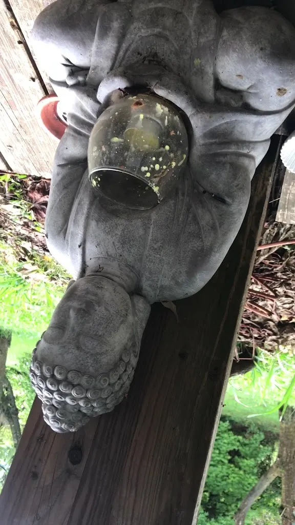 Campo di Cielo - Bio Agriturismo Vegano_Cesiomaggiore_slider_image_2