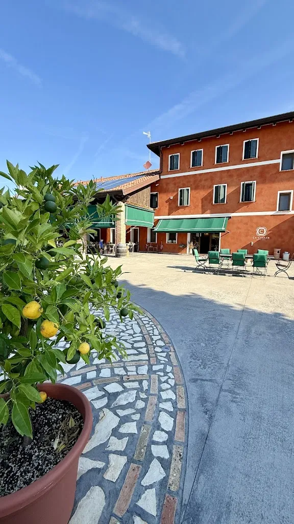 Georg Jirsa_OSTERIA BORGA_Chiarano_review