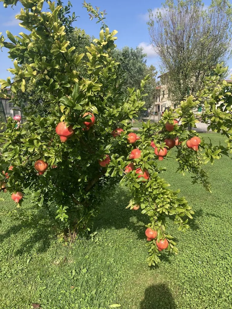 E P_OSTERIA BORGA_Chiarano_review