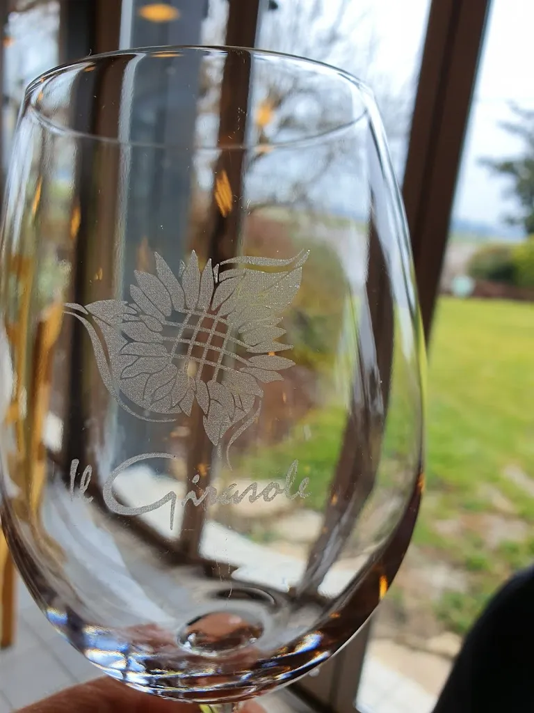 Mark Mi_Ristorante Il Girasole_Chiarano_review