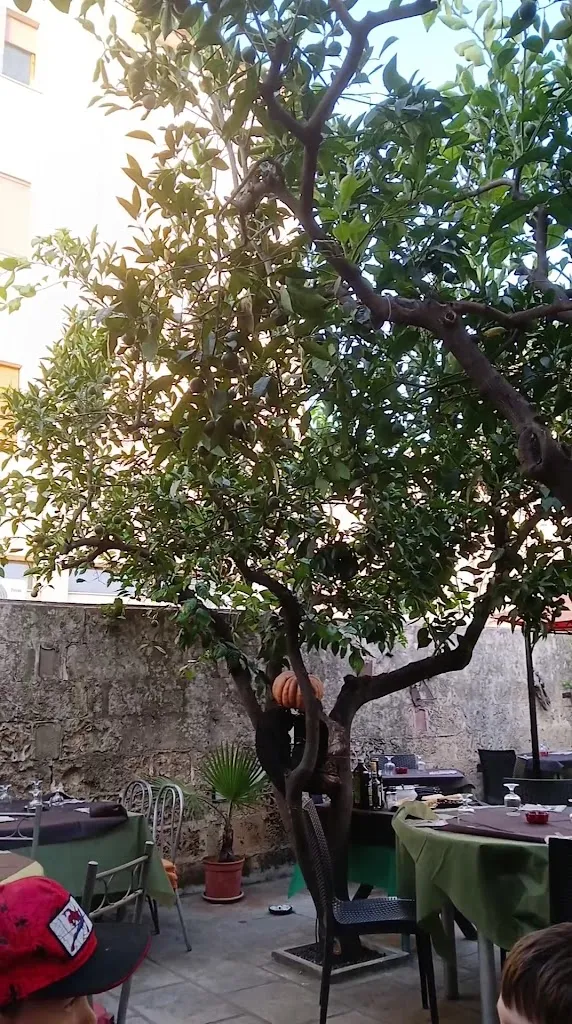 Duane's Mind_Le Veneri_Parabita_review