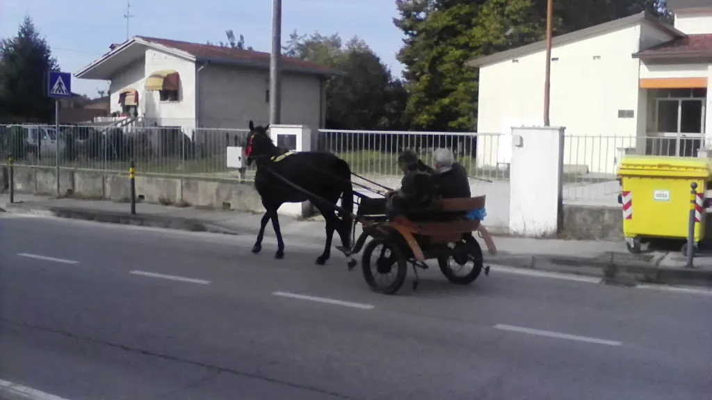 Osteria Alla Scala di Battiston Tiziano_Cinto Caomaggiore_slider_image_3