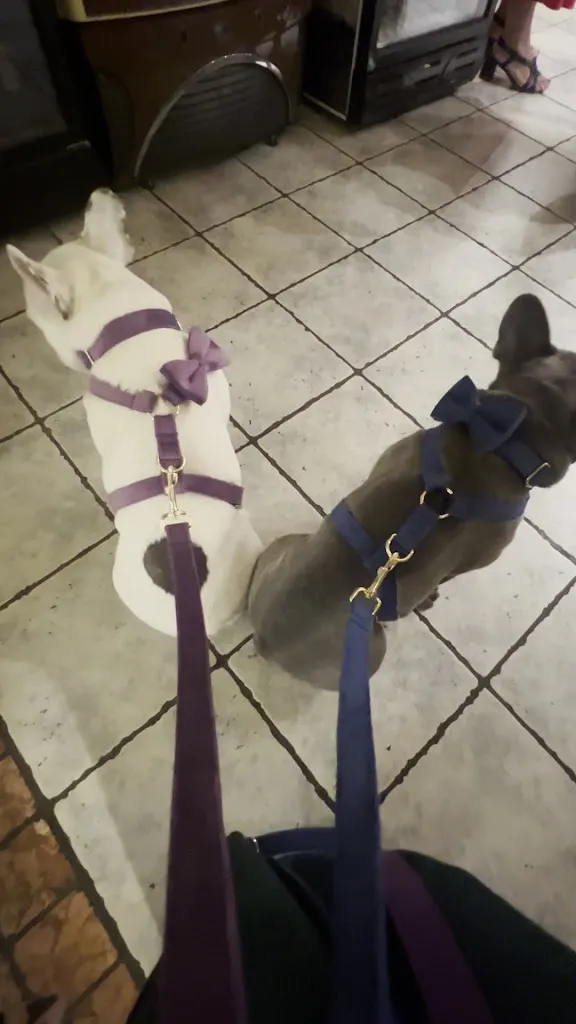 diogenes tapada_Ristorante Laguna Blu_Codevigo_review