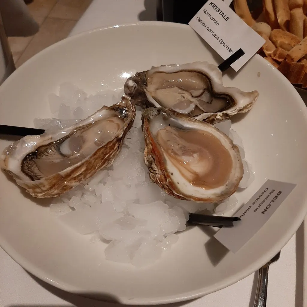 Menu_El Gato_Chioggia_image_8