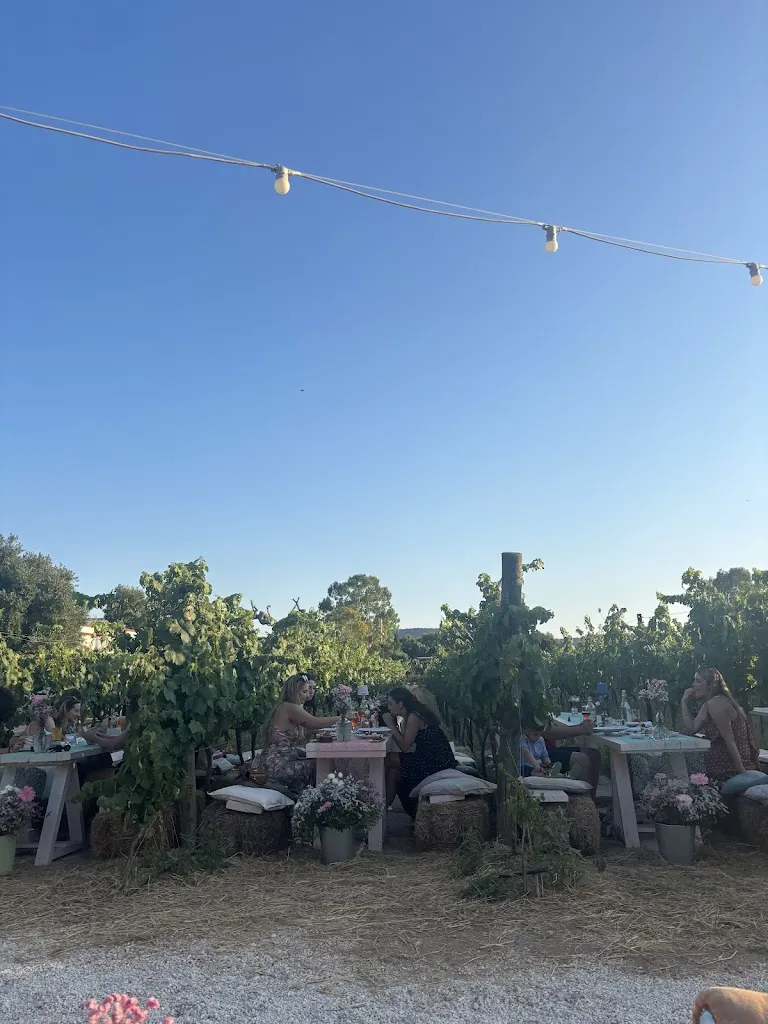 Kate Laughey_Masseria Montenapoleone_Pezze di Greco_review