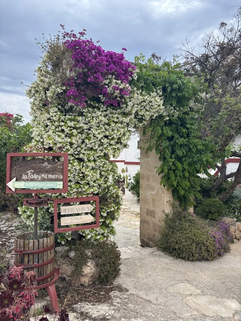 Zachary Cole_Masseria Montenapoleone_Pezze di Greco_review