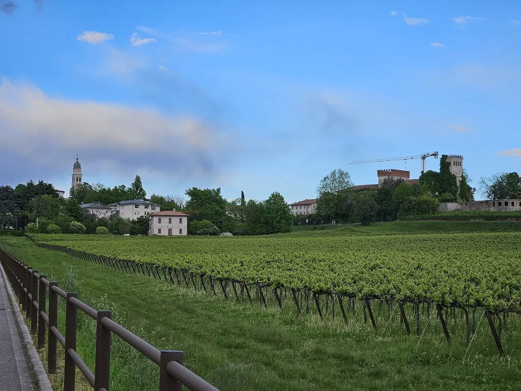 Amber Richard_RISTORANTE e Hotel 