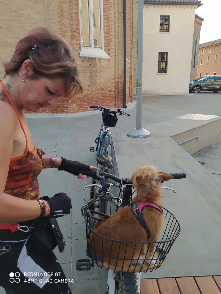 Mario Buzzighin _Al Bacaro Concordia Sagittaria_Concordia Sagittaria_recensione