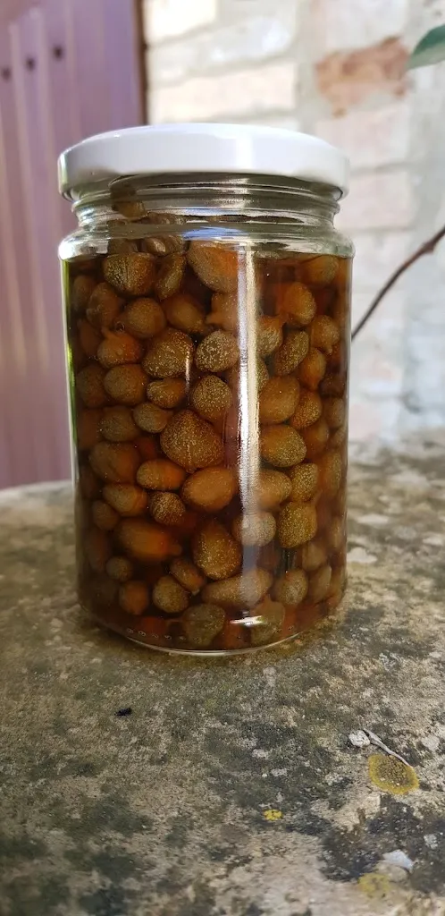 Menu_Osteria Il Cerchio del Vento_Cerchio_image_2