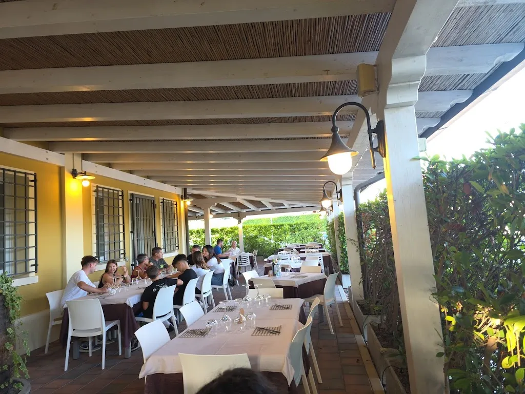 Davide D'Alessio_Terra Del Mezzo_Conselve_recensione