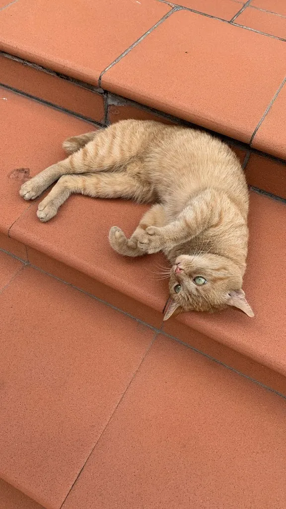 Nadia Radescu_Ristorante Biasio Golf_Creazzo_review