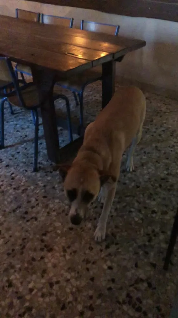 NA TALERZU I W WALIZCE_Trattoria Cà Bottona_Costermano_review