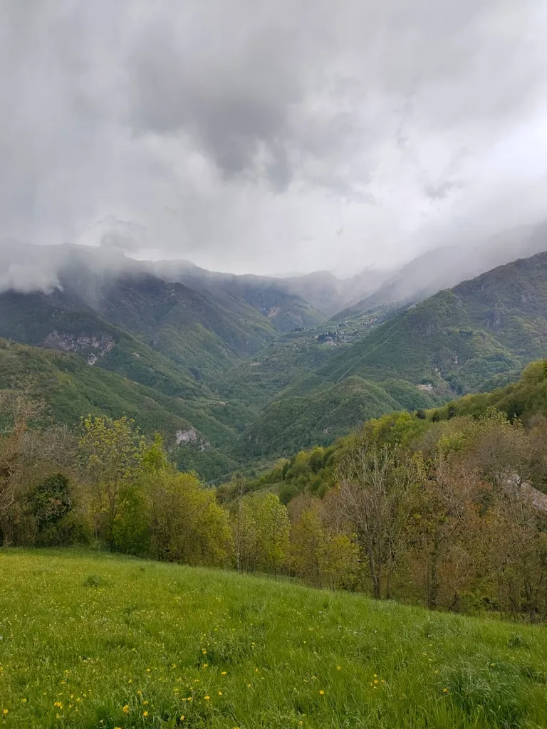 Bruno Scorsone_Albergo Ristorante Campana_Crespadoro_avis