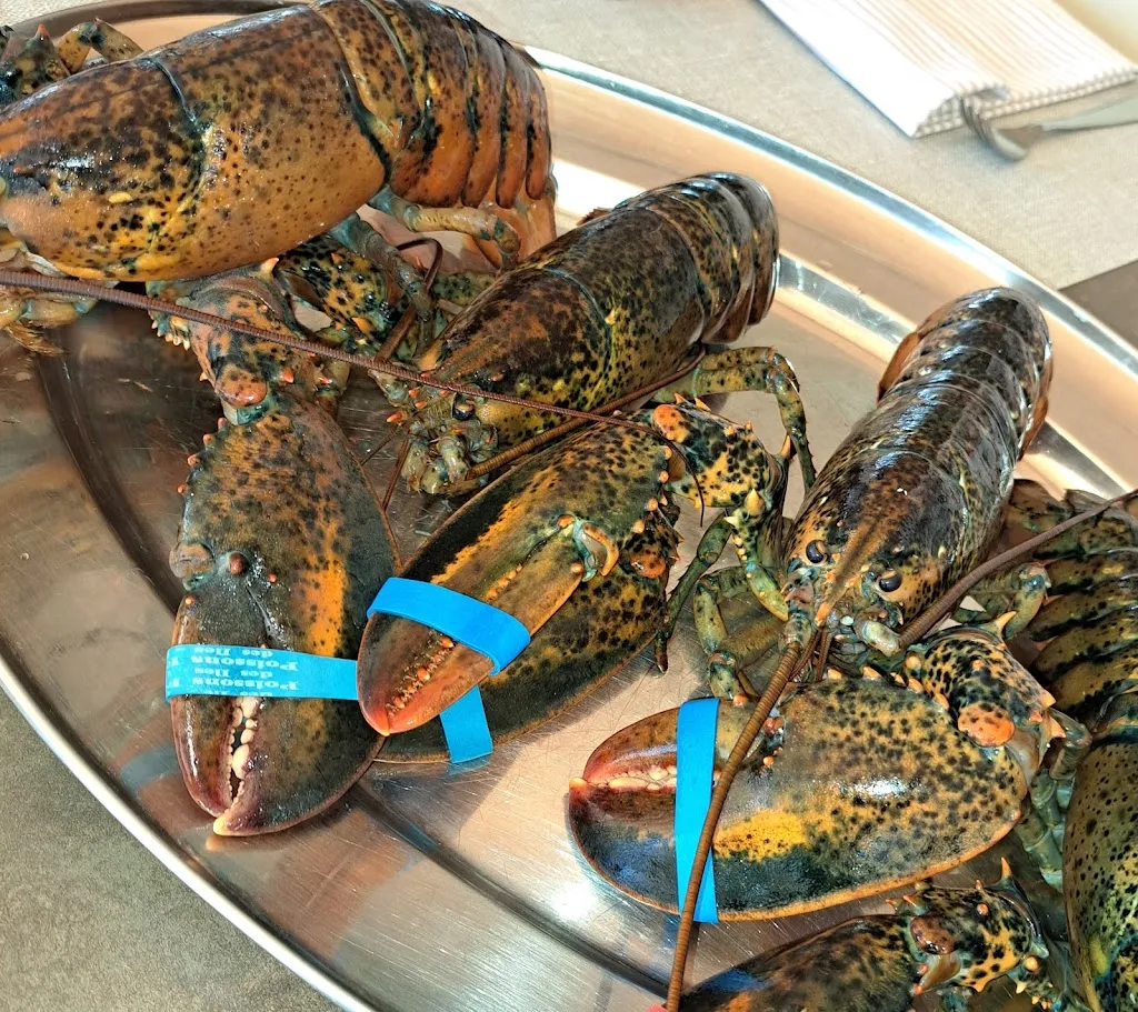 La Conchiglia Eraclea Mare_Crepaldo_slider_image_2