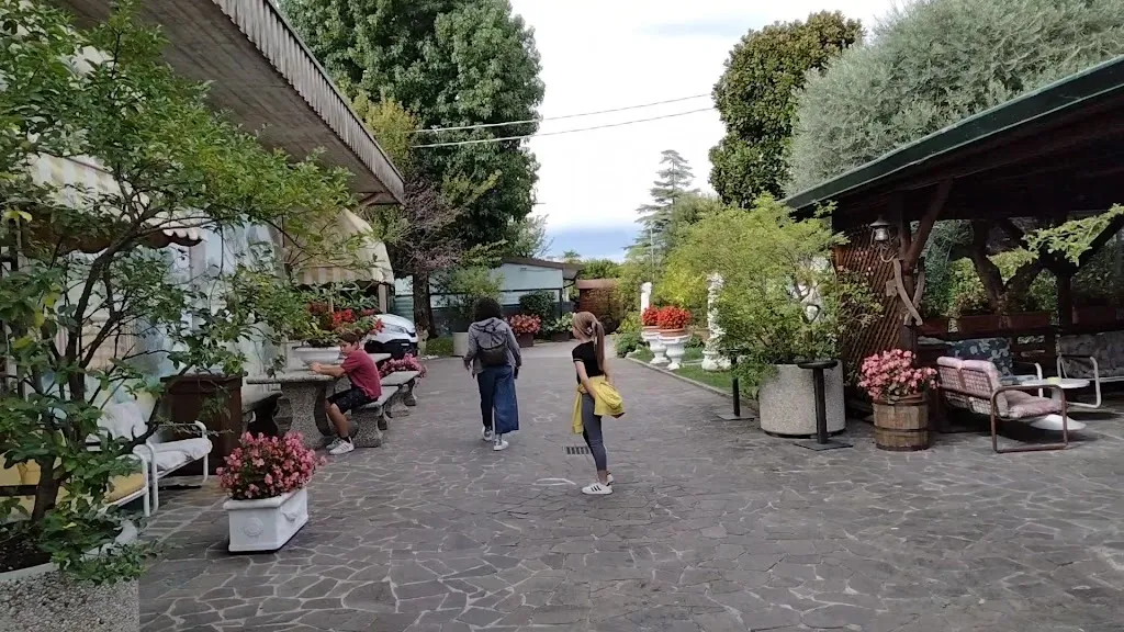 Falco d'Oro_Curtarolo_slider_image_2