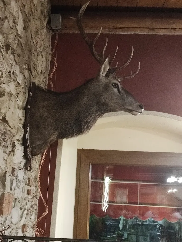 Luca Moretti_Pizzeria Ristorante Da Alfredo_Enego_review