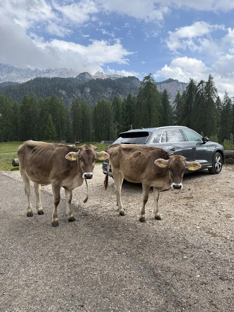 Kseniia K_Rifugio Mietres_Cortina d'Ampezzo_review