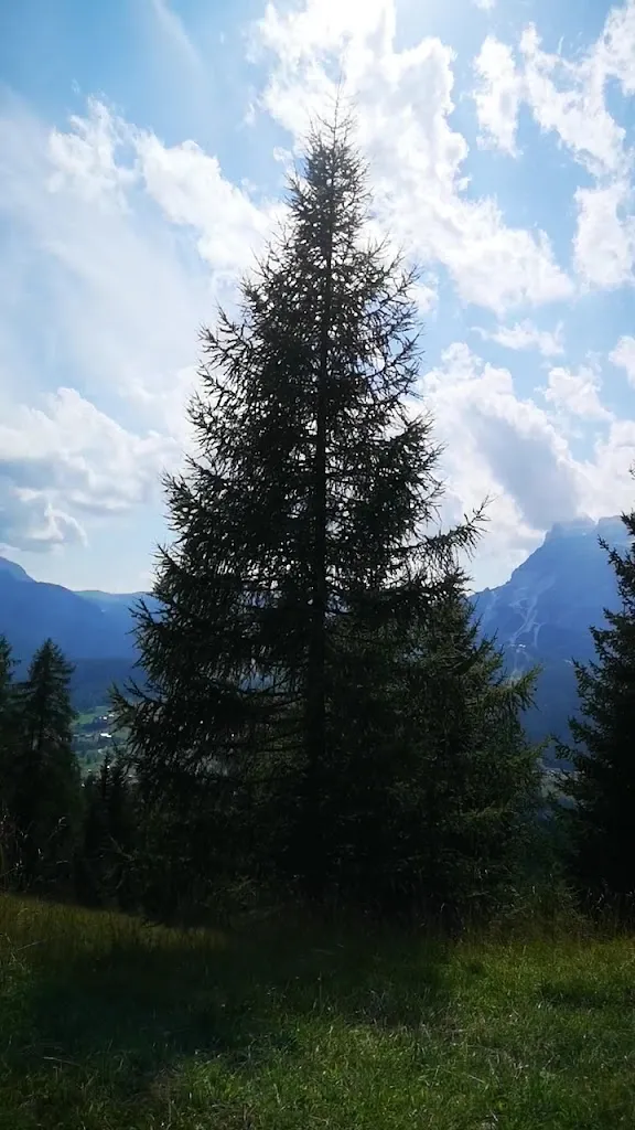 Rifugio Mietres_Cortina d'Ampezzo_slider_image_2