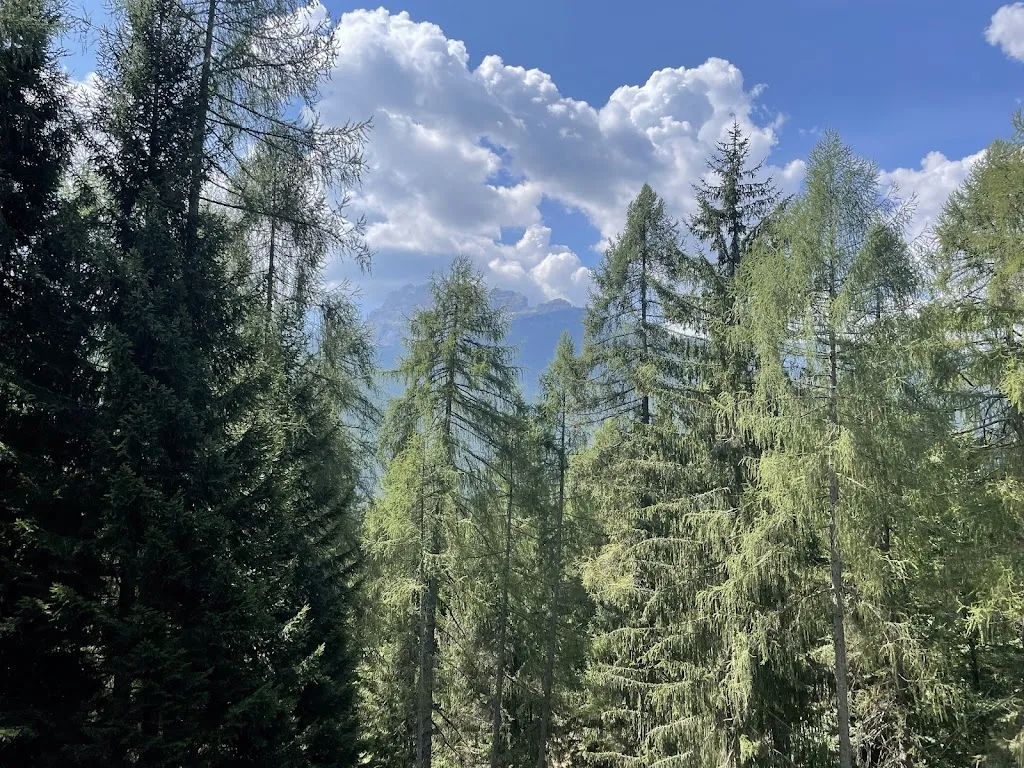 FLORENCE V._Ristorante del Golf Club, da Pier_Cortina d'Ampezzo_review