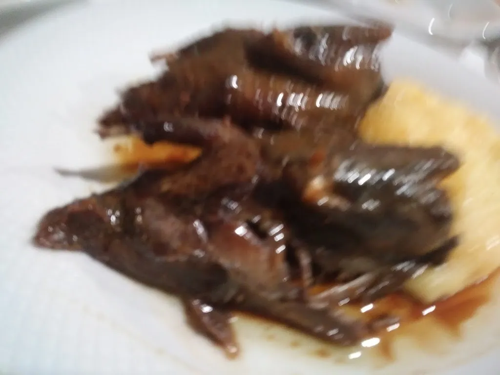 Menu_Vivaro_Dueville_image_7