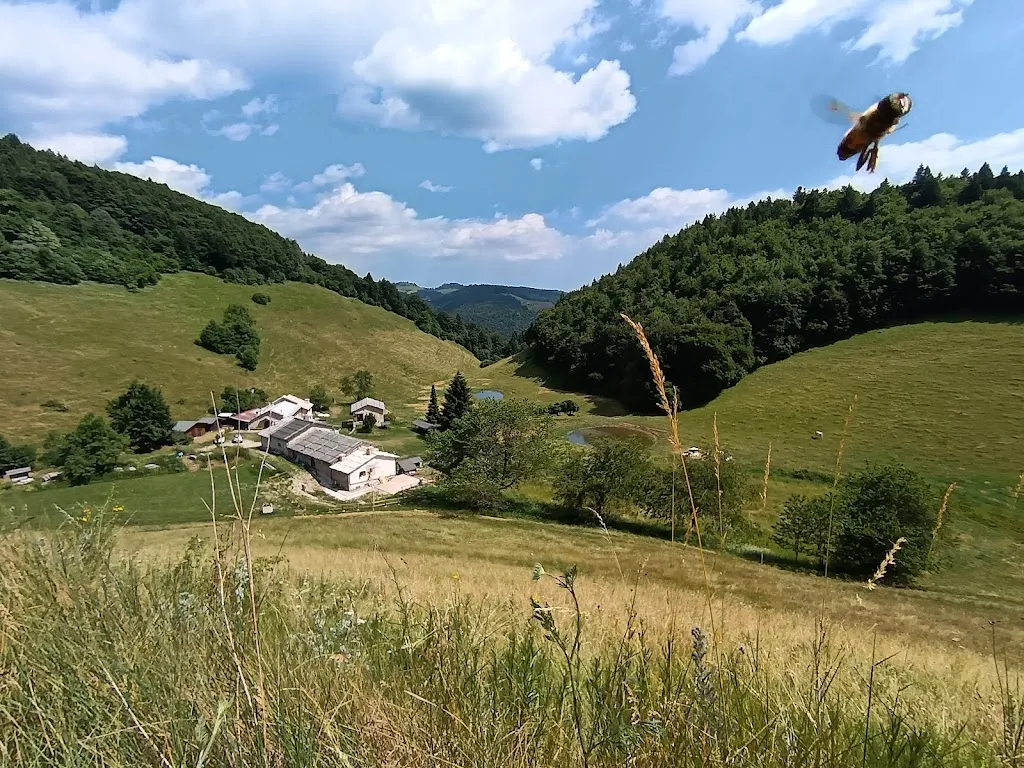 simone beltramini_Rifugio Baita Maso_Erbezzo_review