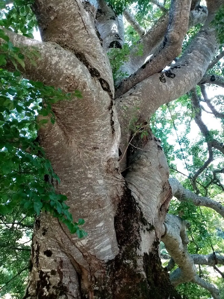 Maria Cristina Domenichini_Rifugio Baita Maso_Erbezzo_review