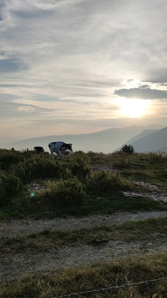 Malga Dardo_Erbezzo_slider_image_2