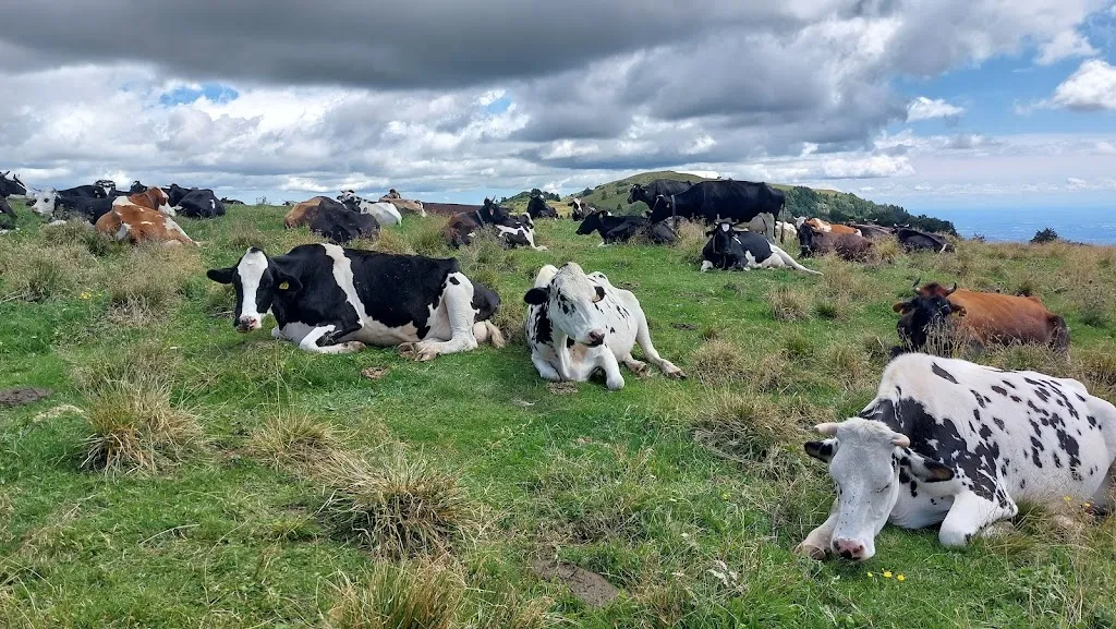 Massimo Zirelli_Malga Preta di sotto_Erbezzo_review