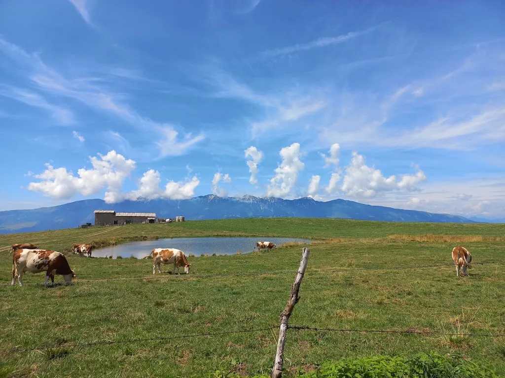 Malga Preta di sotto_Erbezzo_slider_image_3