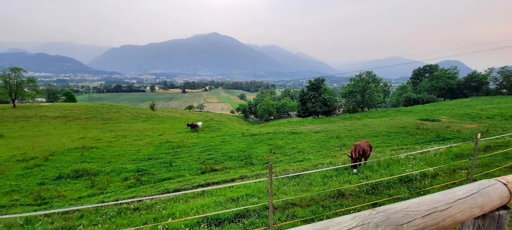 Patrick scicluna_Ristorante Pizzeria Case Rosse_Feltre_review