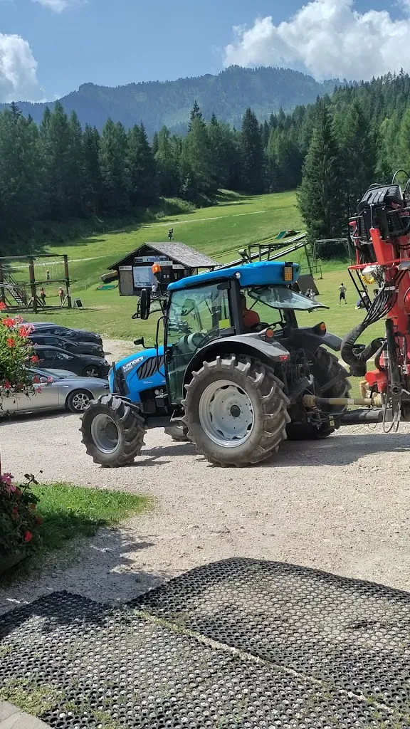 Ristorante Pizzeria Palma_Forno di Zoldo_slider_image_2