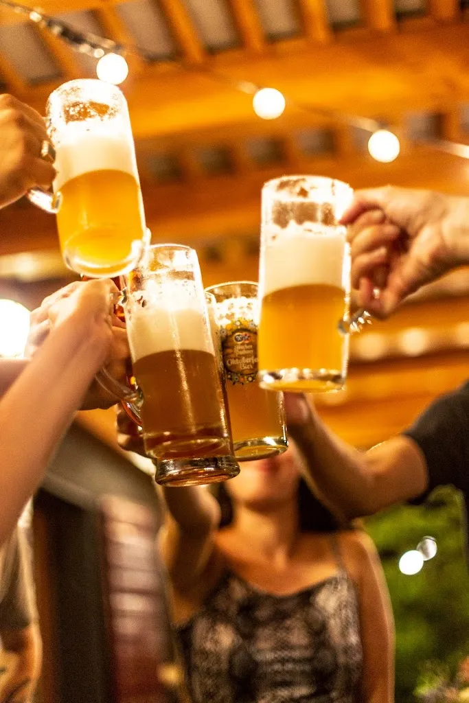 Britannia Pub_Fossalunga_slider_image_2