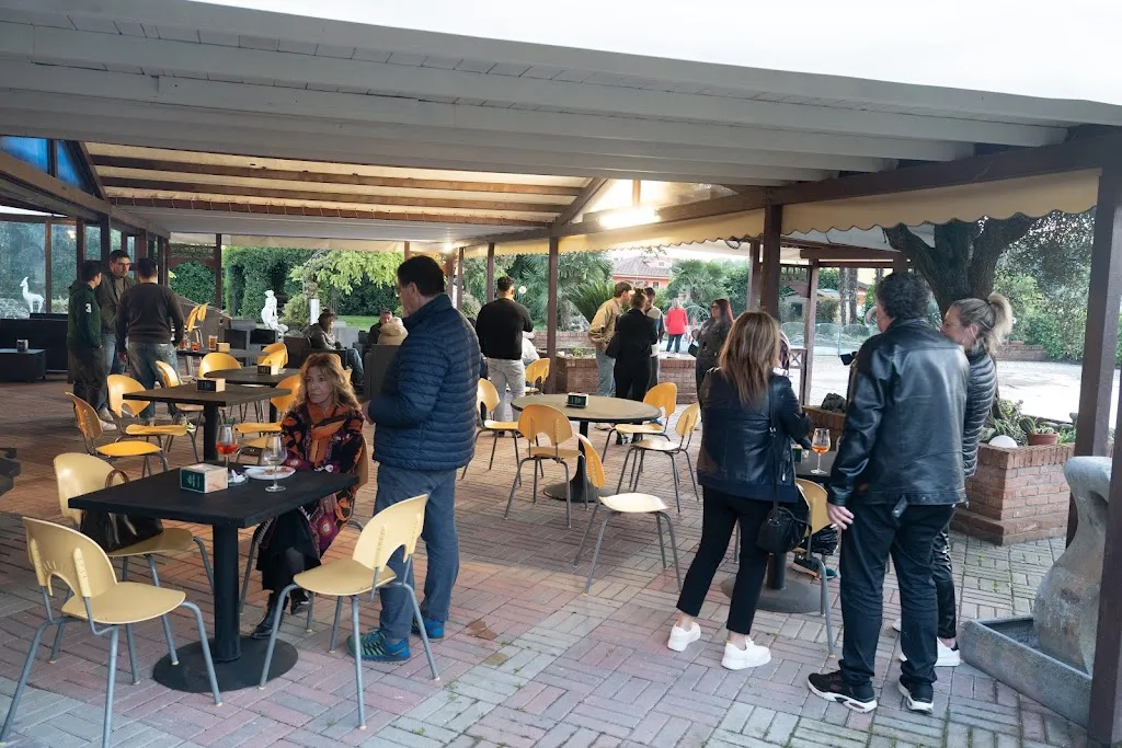 federico visentini_IL MODIGLIANI_Frassinelle Polesine_review