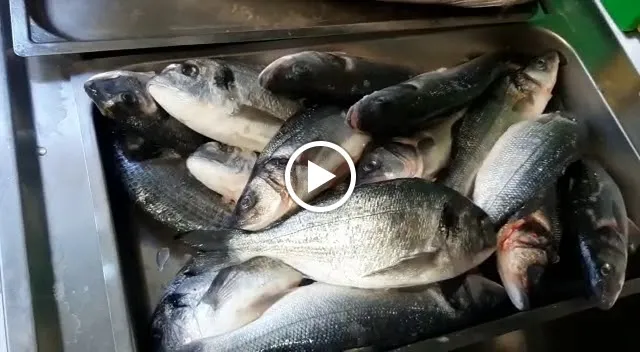 Da Franco restaurant in Fregona