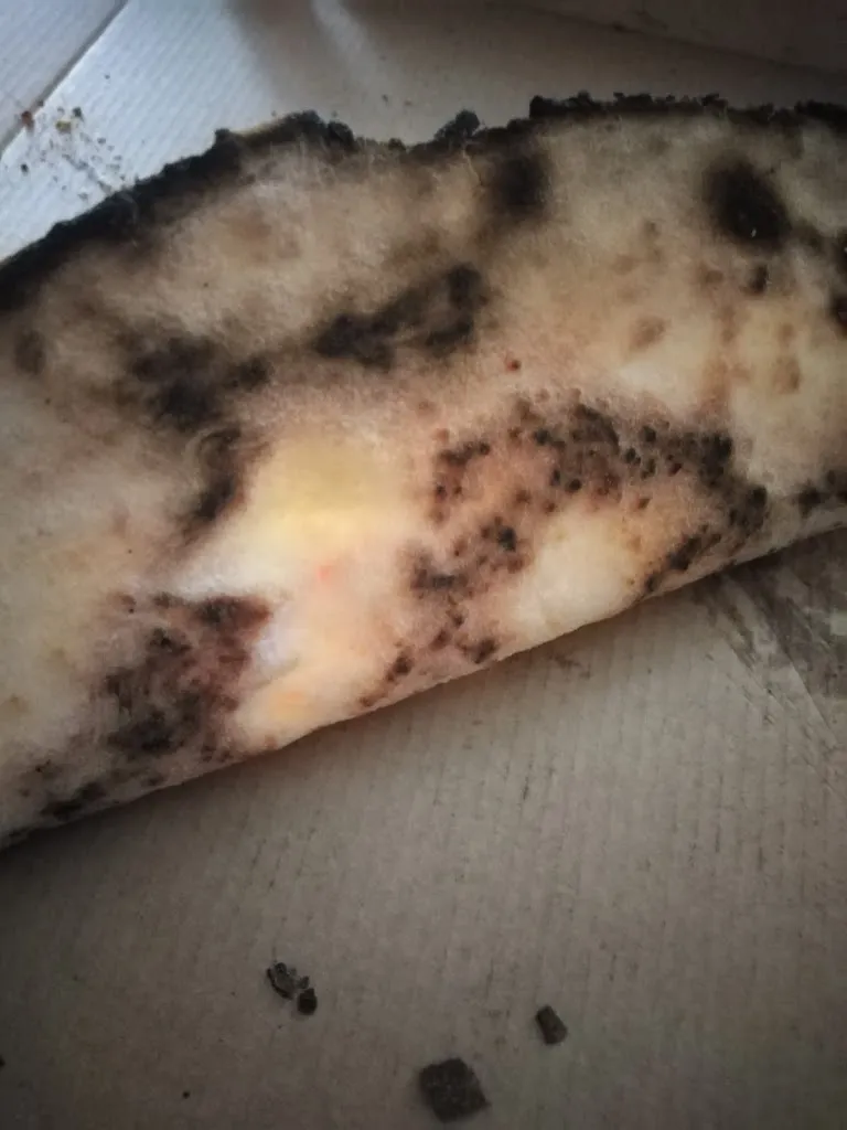 Menu_Pizzeria Veneta_Fratta Polesine_image_9