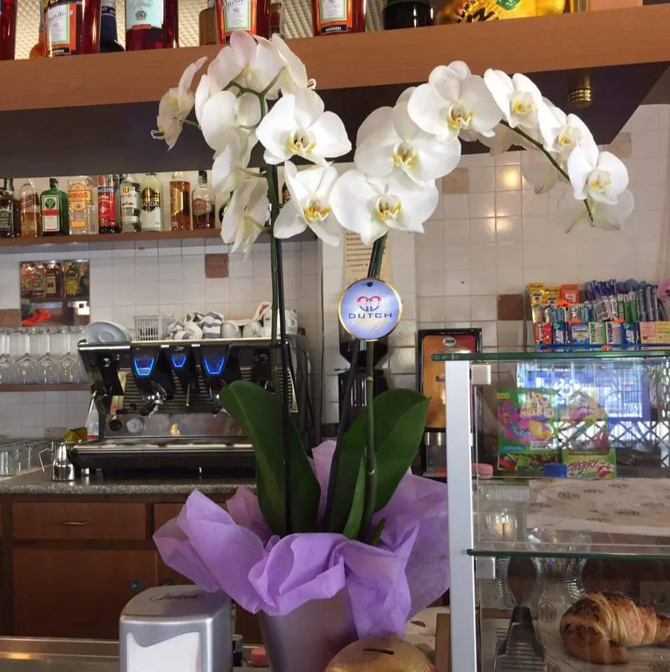 Caffè Venezia restaurant in Fossalta di Piave