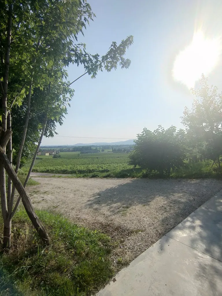 Sofia Gattazzo_Birrificio Agricolo Sorio_Gambellara_review