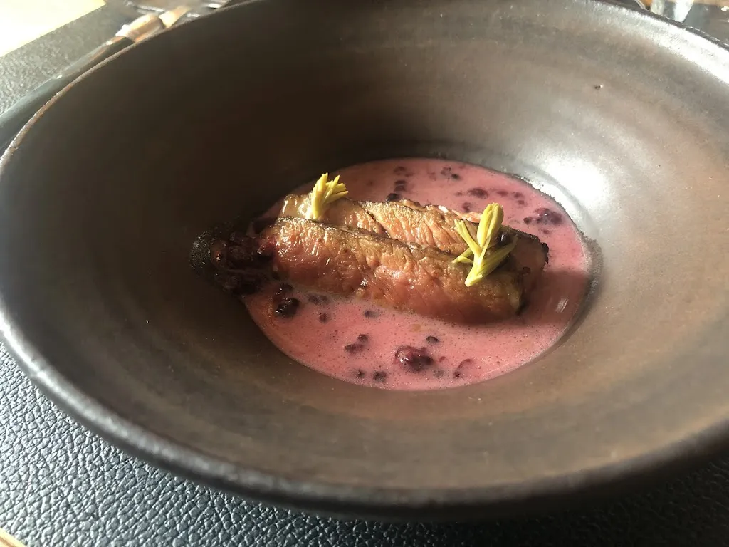 Tina M_Lemelae_Gallio_review