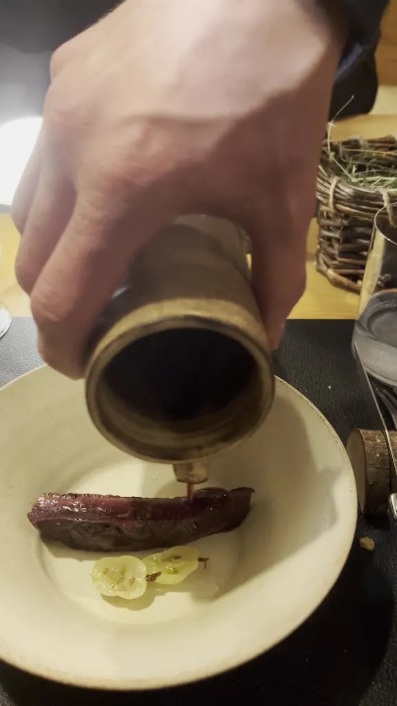 Lemelae_Gallio_slider_image_2