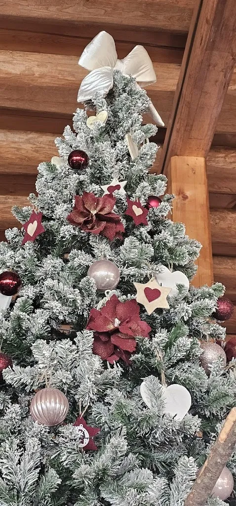 Ilona Macchion_Pizzeria & Ristorante Rendola_Gallio_review