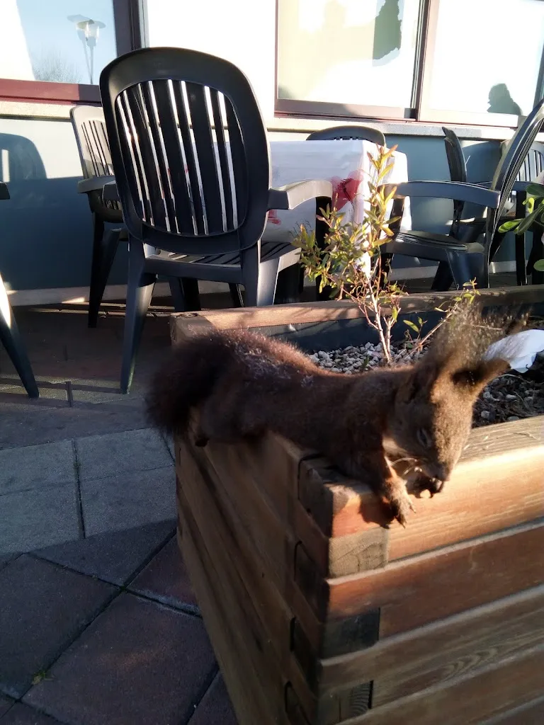 Osteria Al Bivio restaurant in Gorgo al Monticano