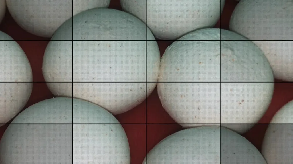 Pizzeria da asporto ENJOY_Gorgo al Monticano_slider_image_2