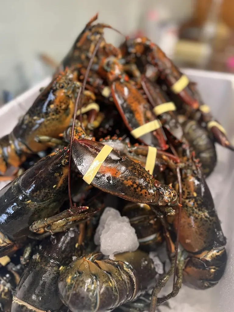 Menu_La cucina di Fabio Camerotto - Ristorante Al Manto_Giavera del Montello_image_6