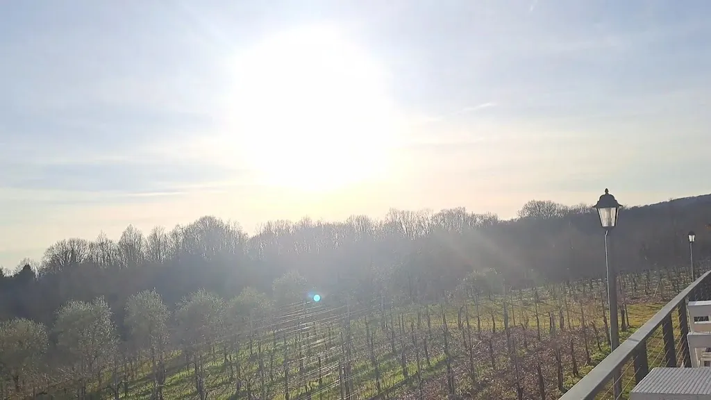 Da Vettorel_Giavera del Montello_slider_image_2