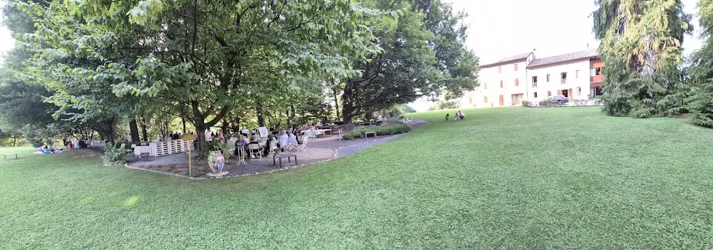 Memo 8 base_Bosco del Falco_Giavera del Montello_review